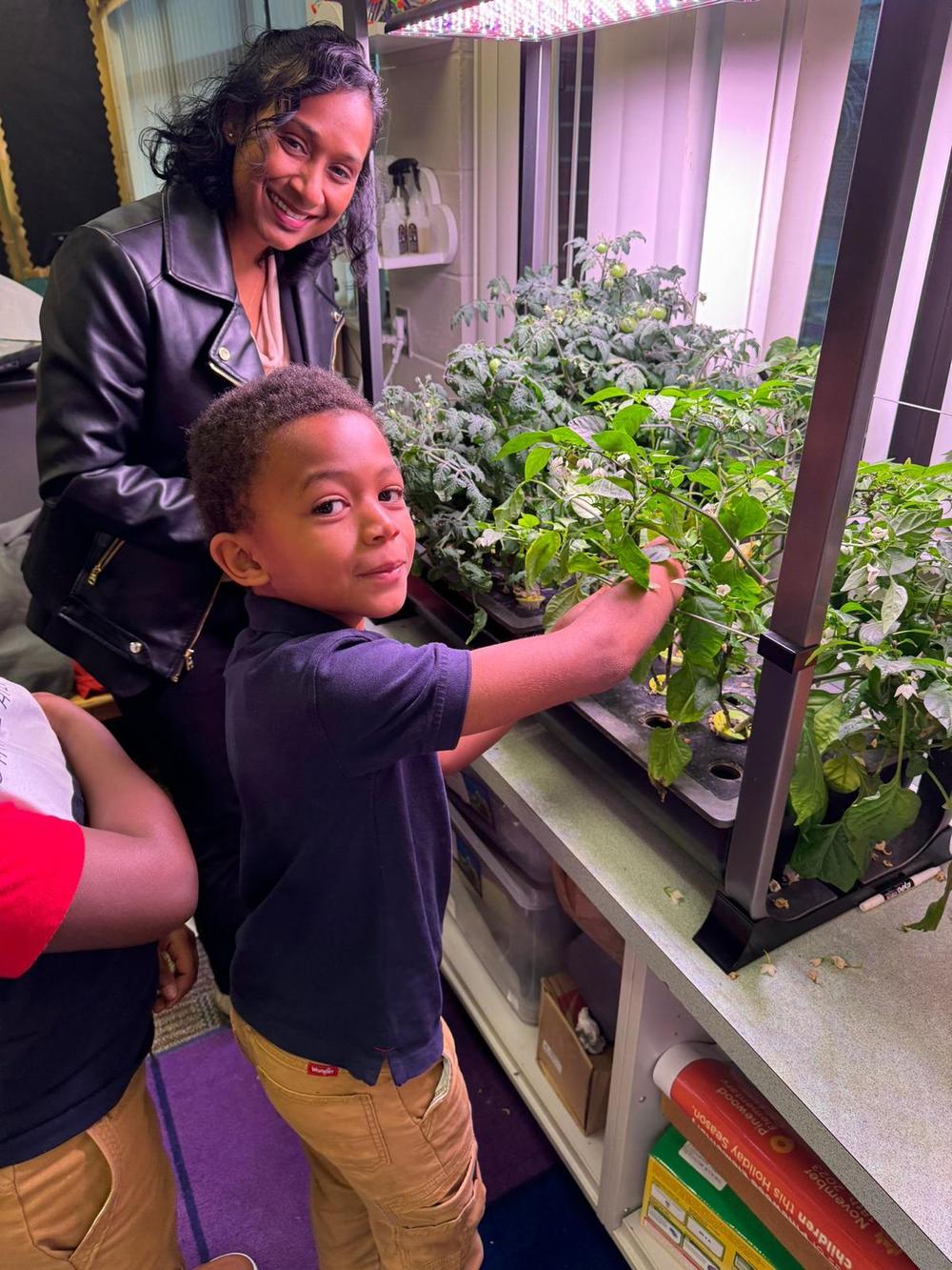 2024 STEM garden enrichment